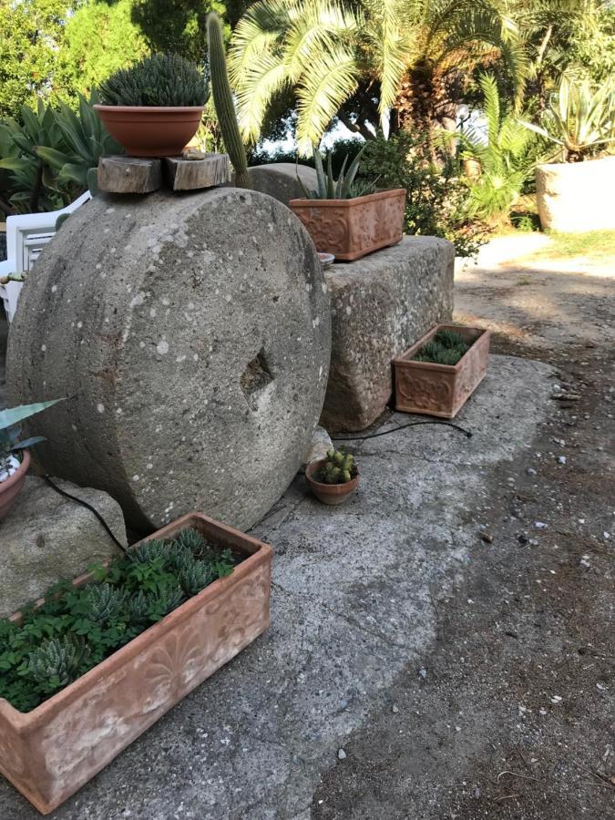 A Casa Di Peppino Villa Greco 틴다리 외부 사진