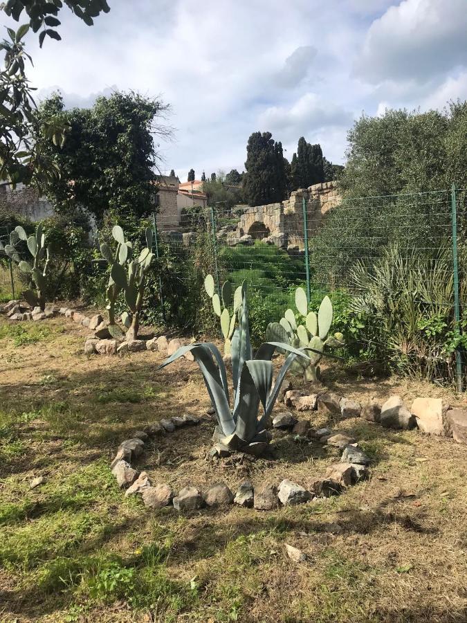 A Casa Di Peppino Villa Greco 틴다리 외부 사진