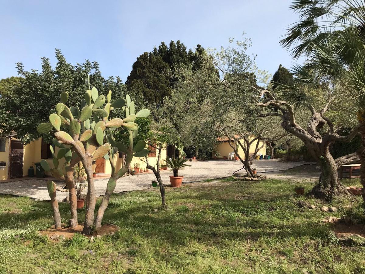 A Casa Di Peppino Villa Greco 틴다리 외부 사진