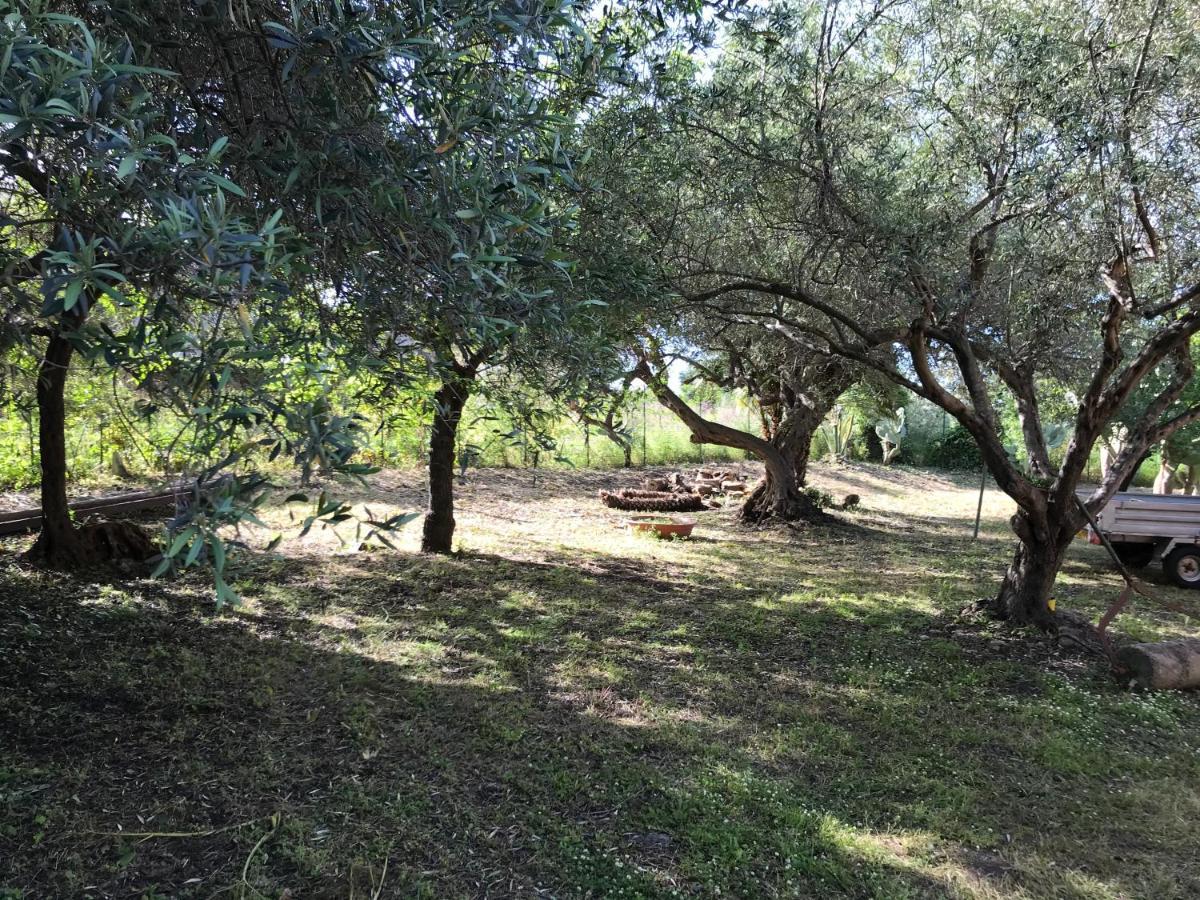 A Casa Di Peppino Villa Greco 틴다리 외부 사진