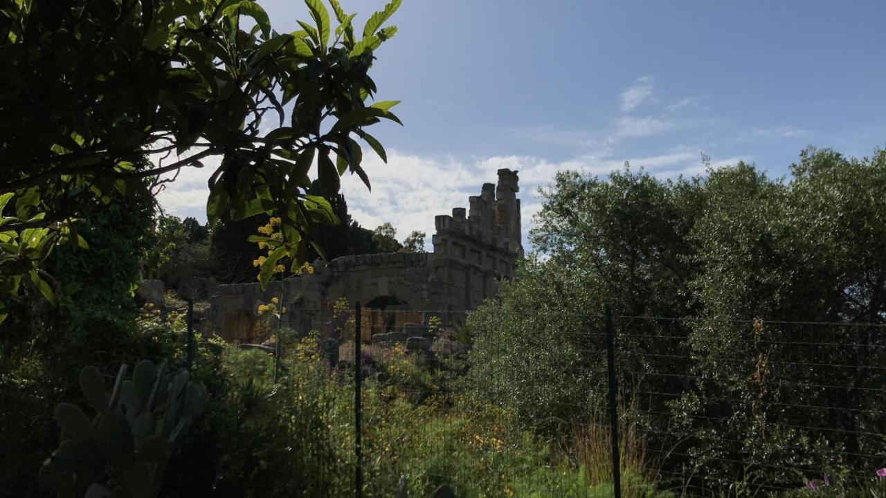 A Casa Di Peppino Villa Greco 틴다리 외부 사진
