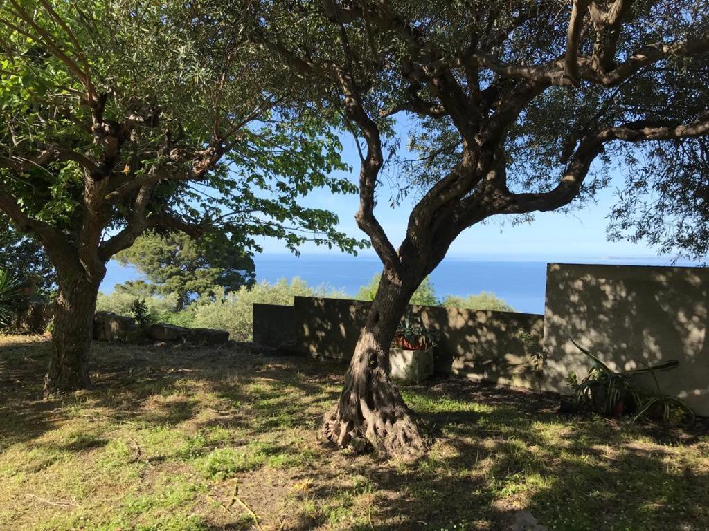 A Casa Di Peppino Villa Greco 틴다리 외부 사진