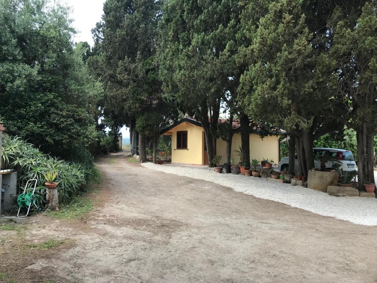 A Casa Di Peppino Villa Greco 틴다리 외부 사진