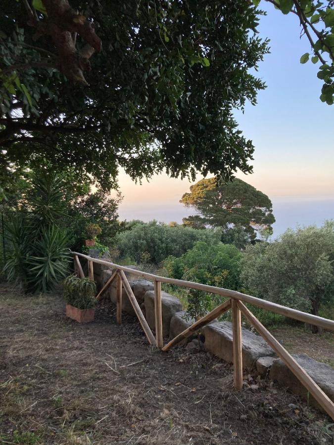 A Casa Di Peppino Villa Greco 틴다리 외부 사진
